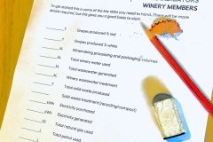 checklist2-vivid